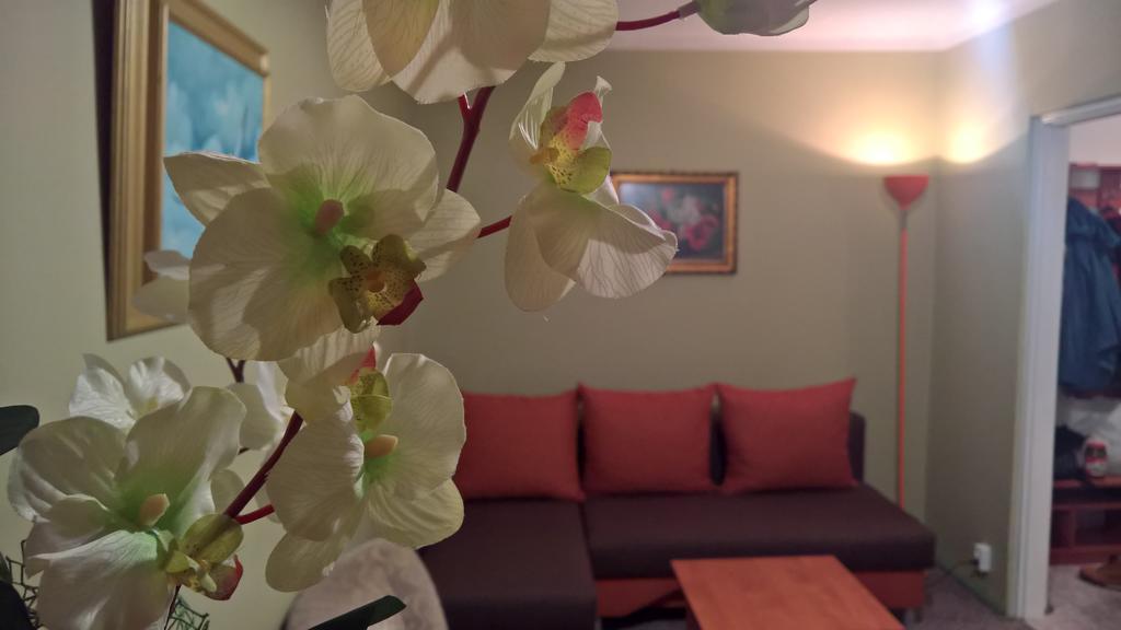 Apartament Konopnicka Августув Экстерьер фото